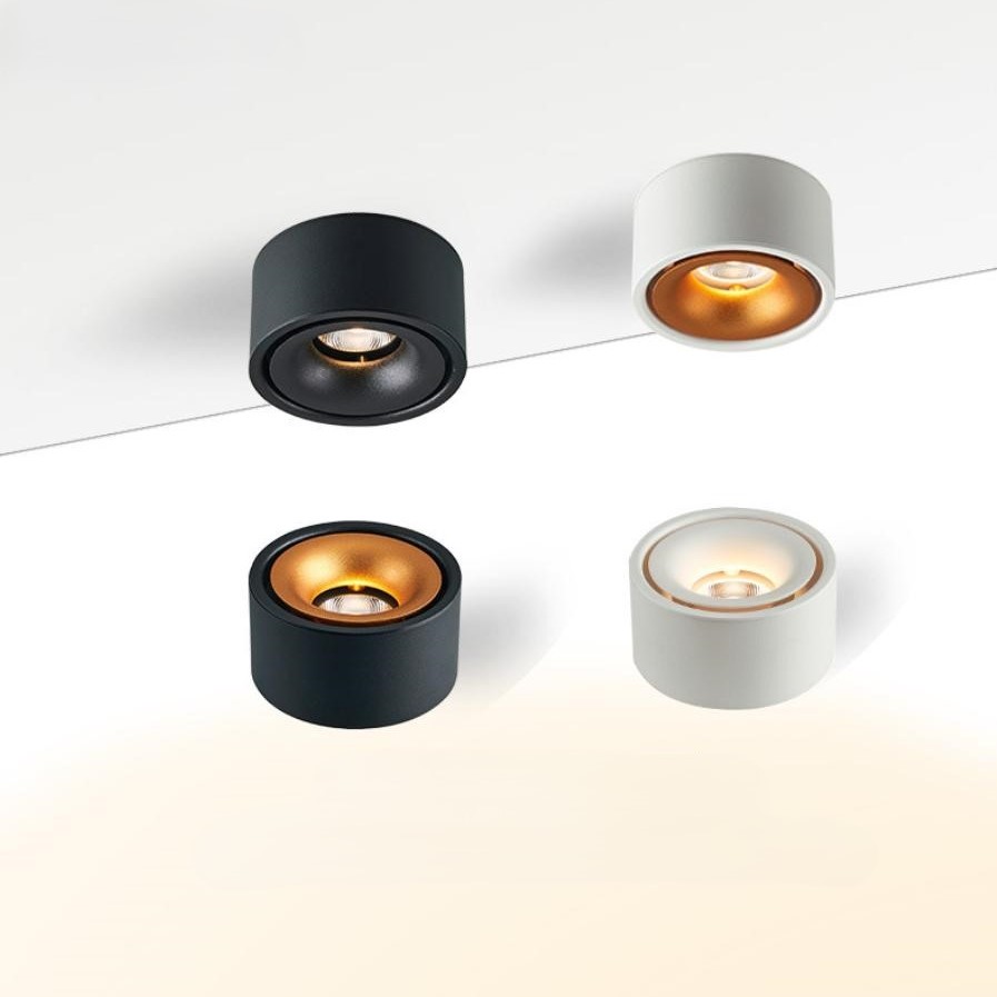 ĐPLN06 Đèn spotlight lắp nổi