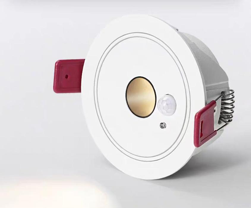 ĐPL014 Đèn cảm ứng chiếu điểm lắp âm
