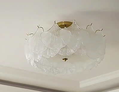z6603935895009_cc0bae88747116a7dc9ae3f182029916.jpg