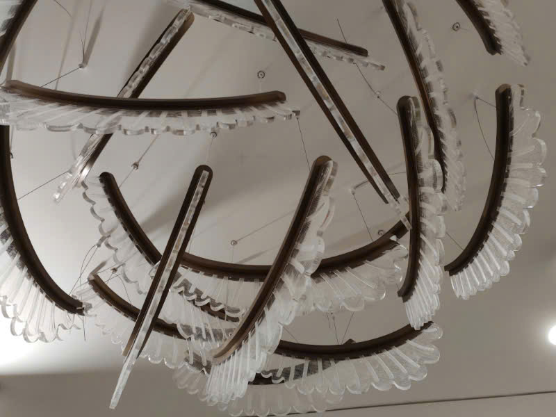 z6484501464654_f5bfd5b1be2b6449a4f224f72aa70d77.jpg